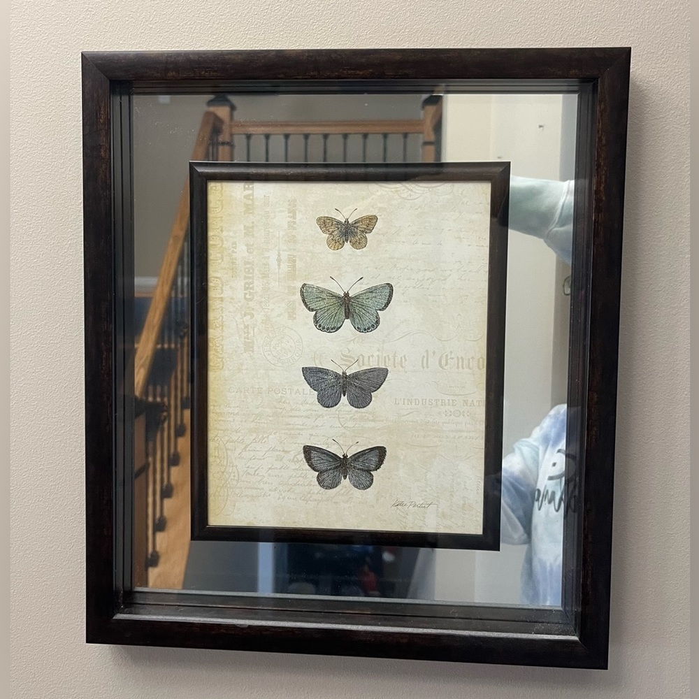 Butterfly Mirror/Picture Wall Decor 16”x14”